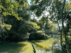 -中国科学院西双版纳热带植物园