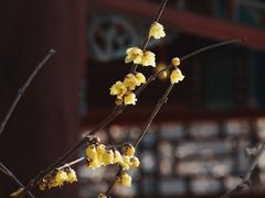 -月坛公园