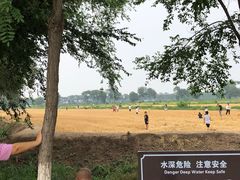 -西青郊野公园