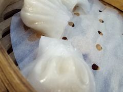 -云中小雅