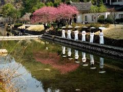 -温州永嘉书院
