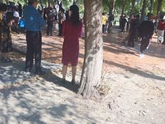 -长春公园(普阳街道)