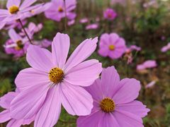 -周口店坡峰岭风景区