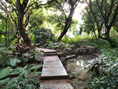 -黄埔荔枝公园