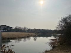 -南湖湿地公园