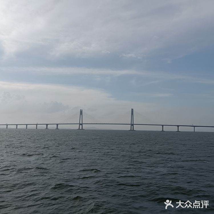 大灣區二號⛴️🚢🛥️