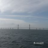 大灣區二號⛴️🚢🛥️