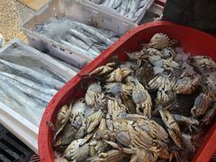 -芦潮港集贸市场