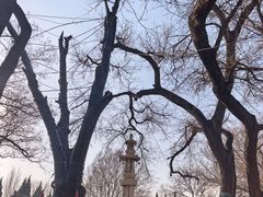 -大槐树寻根祭祖园