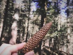 -硗碛藏寨·神木垒景区