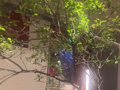 -万事吉健康生活馆(古城店)