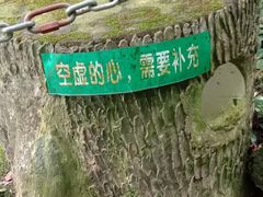 -七仙岭温泉国家森林公园