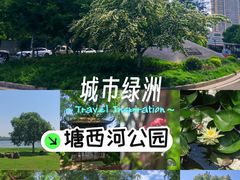 -滨湖塘西河公园