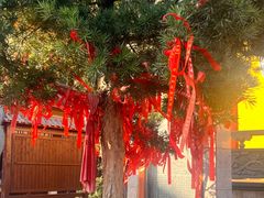 -上海青龙寺