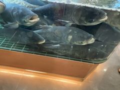 -小山寨(天润城店)