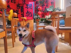 -小意思咖啡店(草桥店)