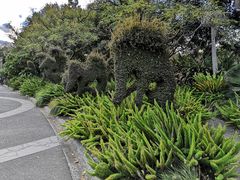-墨尔本皇家植物园