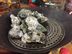 -蚝专家(北滘店)