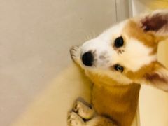 -平行世界·猫咖(首经贸店)