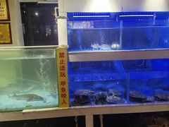 -王捌小院(红花坡店)