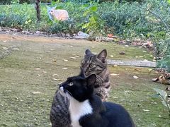 -T80科技文化国际社区-停车场