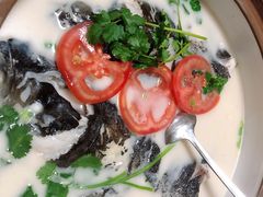 -全乐鱼馆·淳牌有机鱼直营店