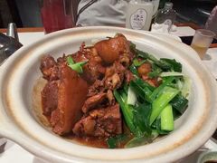 红烧羊肉煲-壹只菜·崇明本地特色菜(崇明南门店)