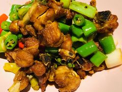 鲜椒鸡-日上三甘(三里屯店)