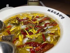 二人份酸菜鱼-太二酸菜鱼(沈阳万象城店)