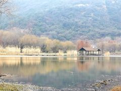 -长广溪湿地公园
