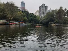 -晓港公园