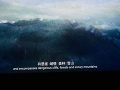 -上影国际影城(普陀绿地缤纷城店)