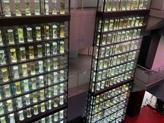 -广东中医药博物馆