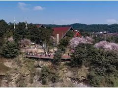 -铁山坪森林公园