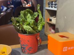 -金龙烧烤·牛肉面(西塔店)