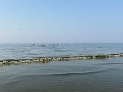 -烟台金沙滩海滨公园