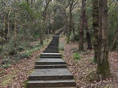 -八卦田遗址公园