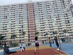 -彩虹村