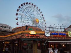 -美国村
