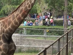 -石家庄市动物园