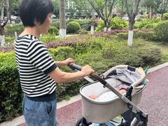 -田螺阿姨自营月嫂·育儿嫂(高新店)