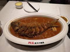 -阿五黄河大鲤鱼(海尚店)