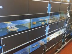 -灵龟之家百象馆(百象馆联合旗舰店)