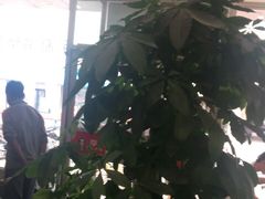 -李先生牛肉面大王(营口大润发店)