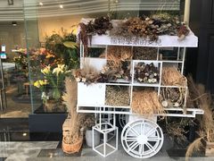 -植物学家的女儿(北马道巷店)