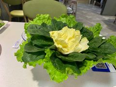 -老王全牛宴·鲜牛肉牛杂火锅(总店)
