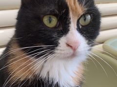 -平行世界·猫咖(首经贸店)