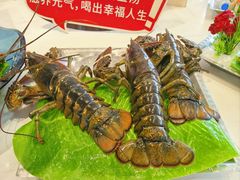 -南海渔村·空中一号