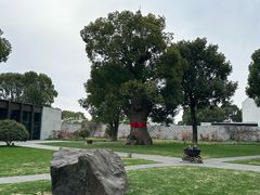 -养云安缦吧THE BAR