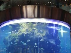 -OPEN開全日自助餐厅·牛肉火锅·海鲜(佛山希尔顿酒店)